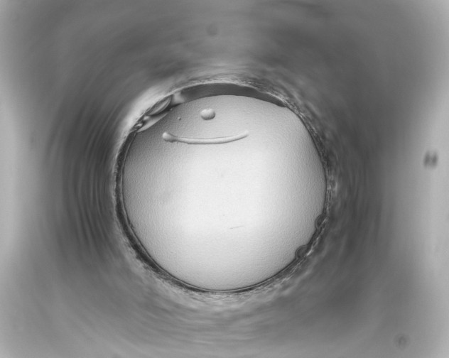 X0000093590006200711051147