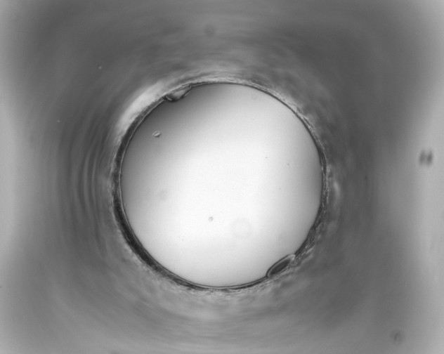 X0000093590007200711051147