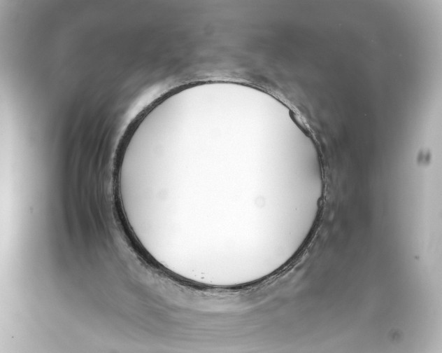 X0000093590008200711051147