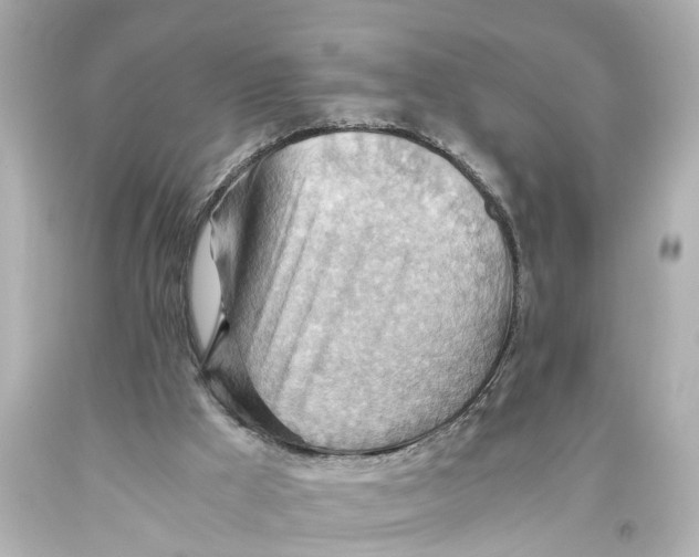 X0000093590009200711051147