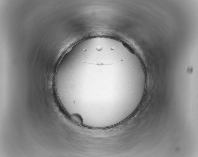 X0000093590010200711051147