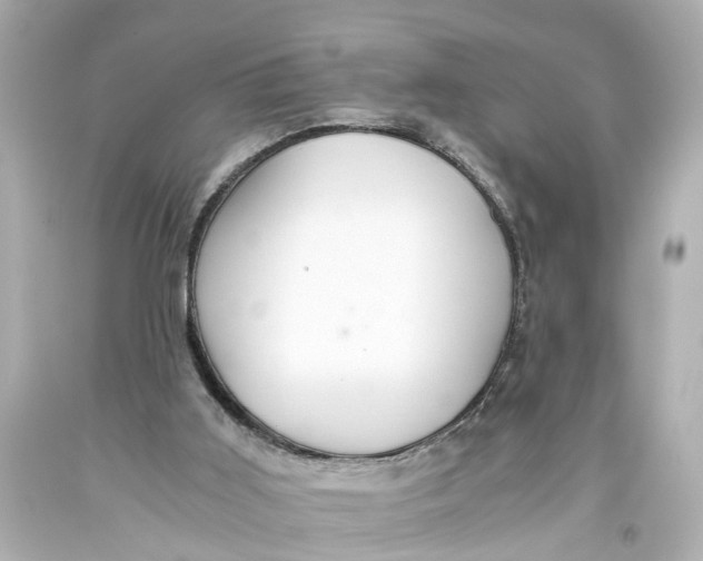 X0000093590011200711051147