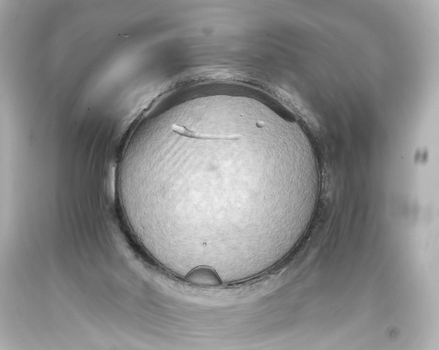 X0000093590014200711051147