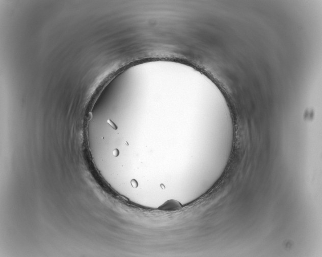 X0000093590015200711051147