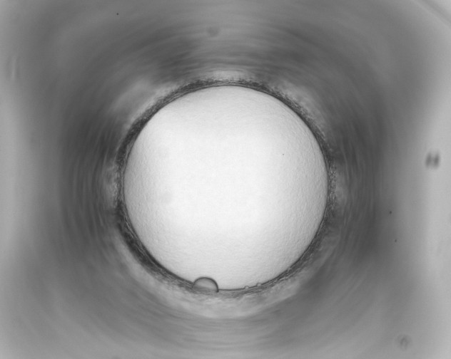 X0000093590016200711051147