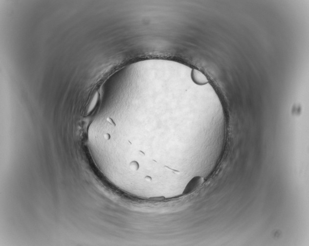 X0000093590017200711051147