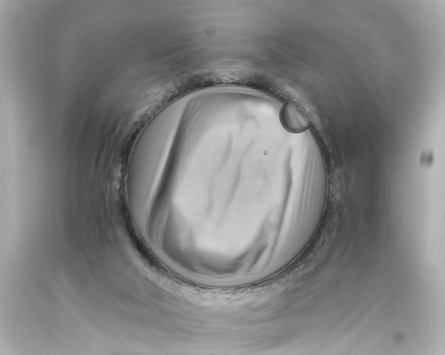 X0000093590018200711051147