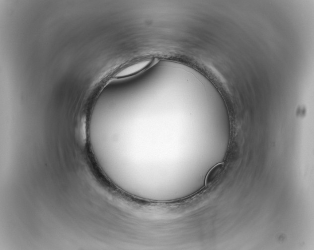 X0000093590020200711051147
