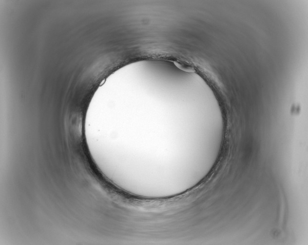 X0000093590021200711051147