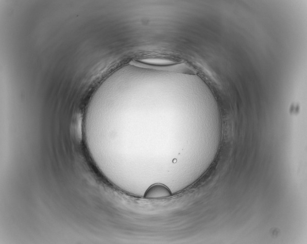 X0000093590022200711051147