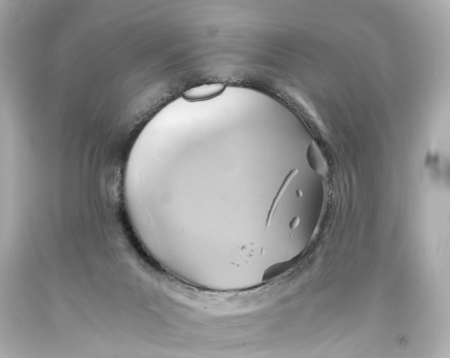 X0000093590023200711051147