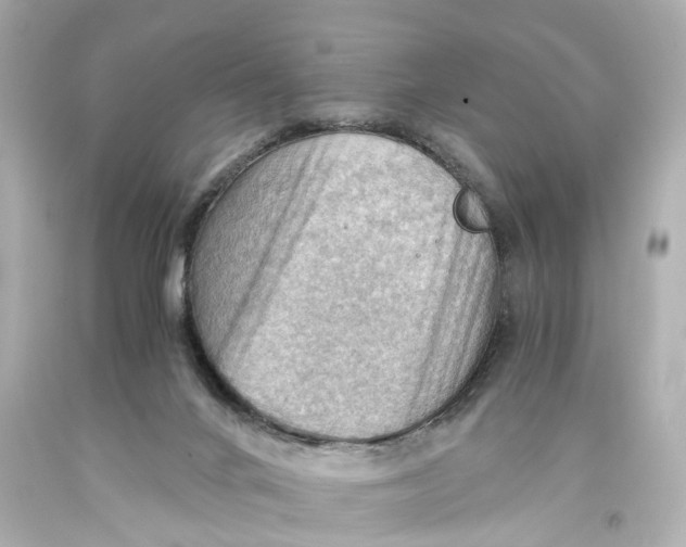 X0000093590024200711051147