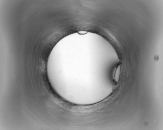 X0000093590025200711051147