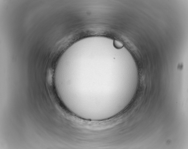 X0000093590026200711051147