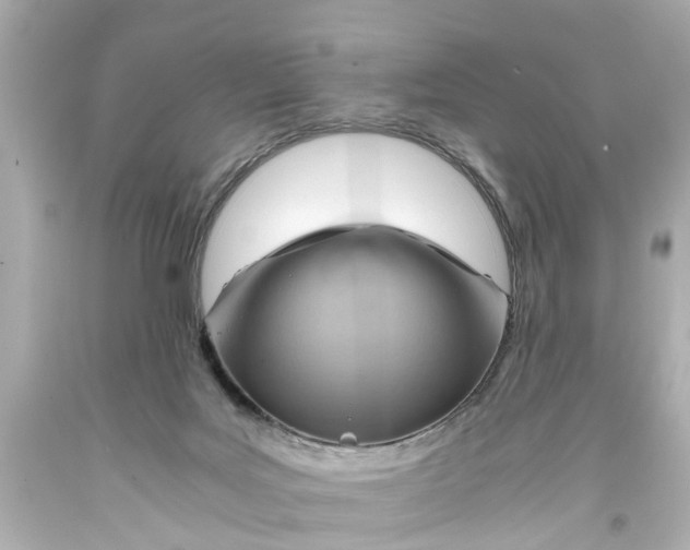 X0000093590027200711051147
