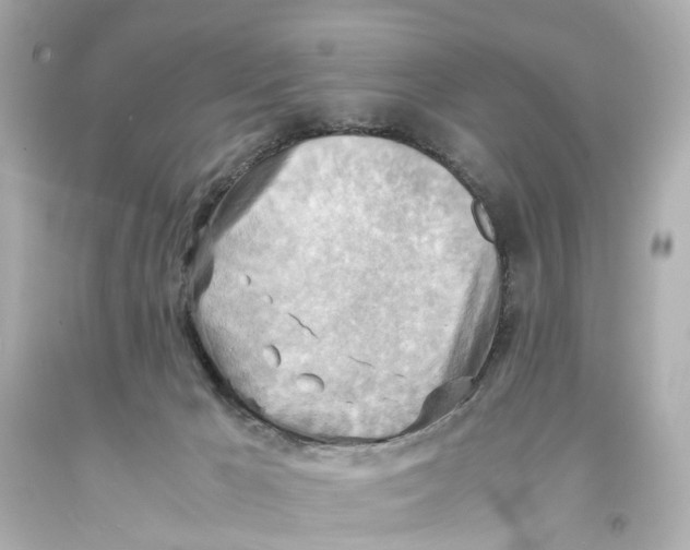 X0000093590029200711051147