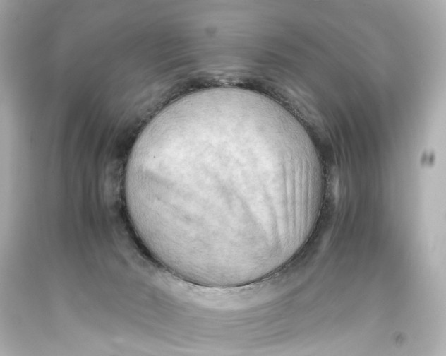 X0000093590030200711051147