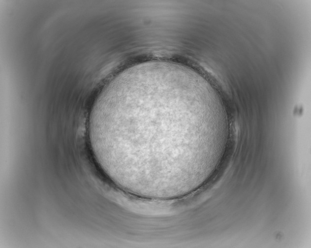 X0000093590032200711051147