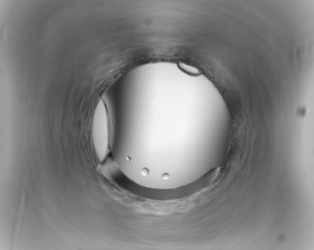 X0000093590033200711051147