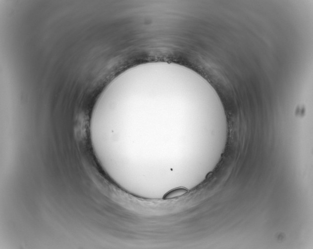 X0000093590038200711051147