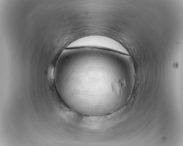 X0000093590041200711051147