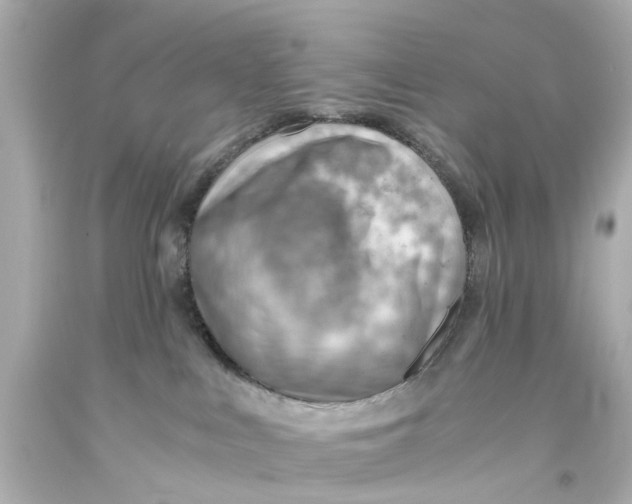 X0000093590043200711051147