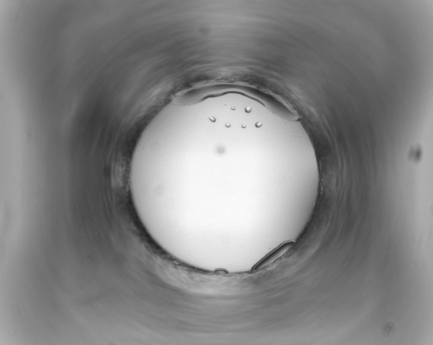 X0000093590044200711051147