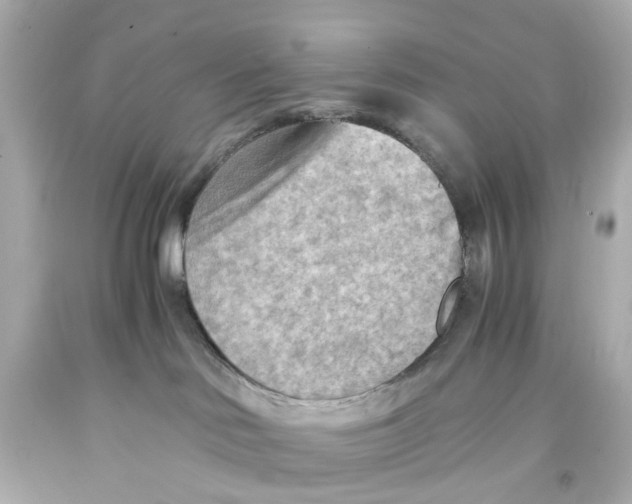 X0000093590046200711051147