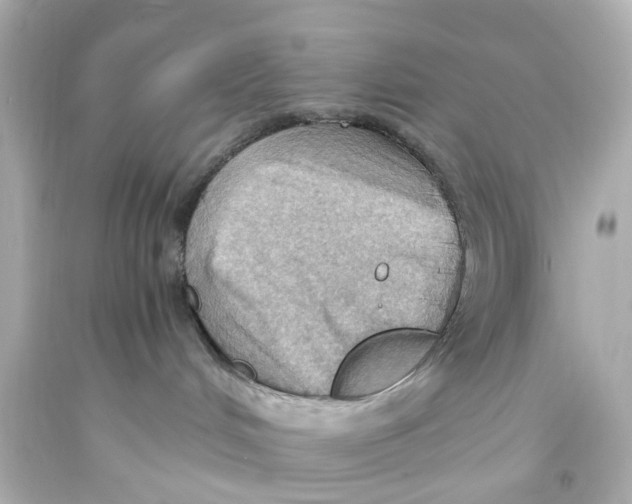 X0000093590048200711051146