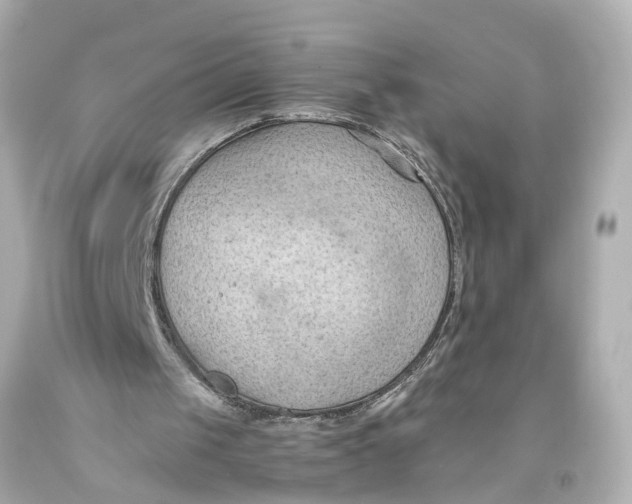 X0000093590049200711051146