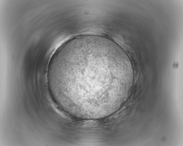 X0000093590050200711051146