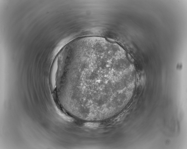X0000093590051200711051146