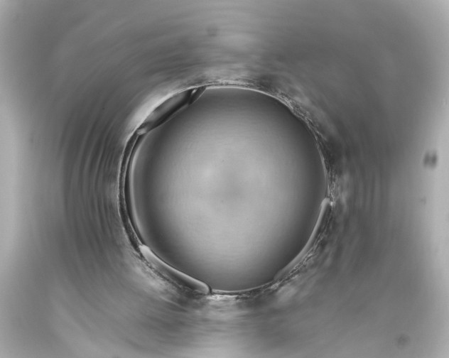 X0000093590052200711051146