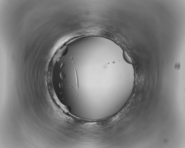 X0000093590054200711051146