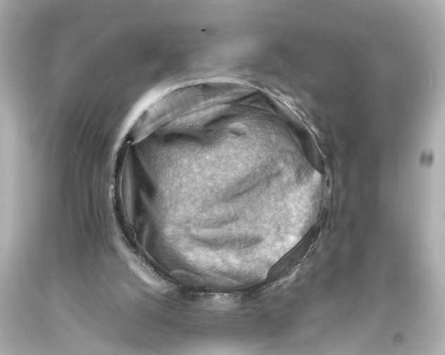 X0000093590056200711051146