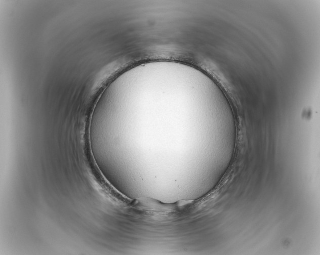 X0000093590058200711051146