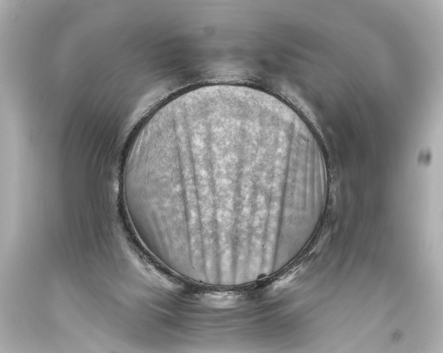 X0000093590059200711051146