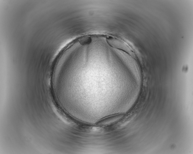 X0000093590060200711051146