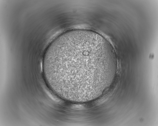 X0000093590061200711051146