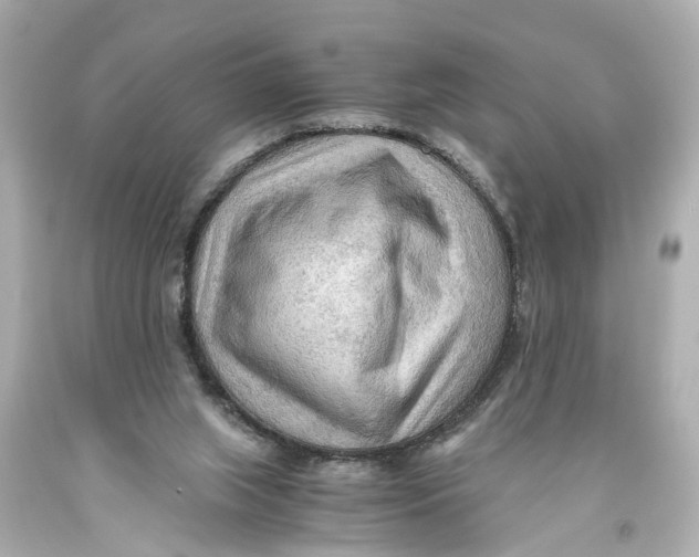 X0000093590063200711051146