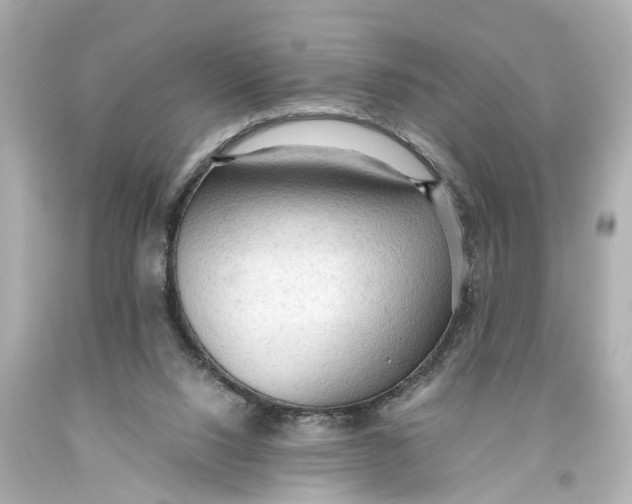 X0000093590064200711051146