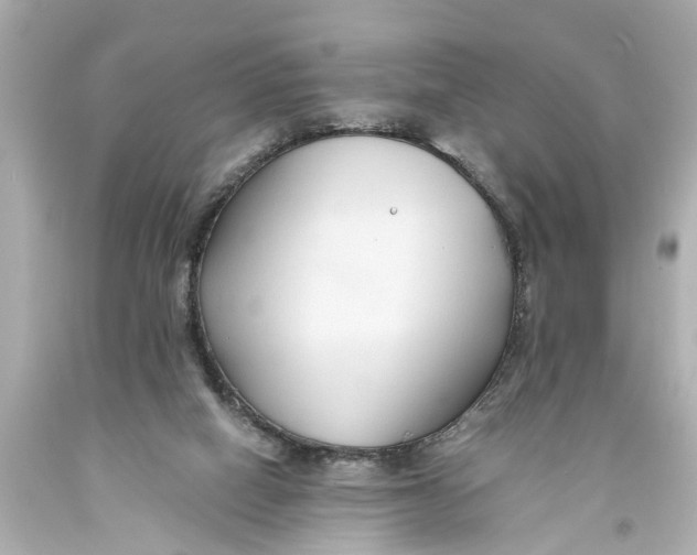X0000093590066200711051146