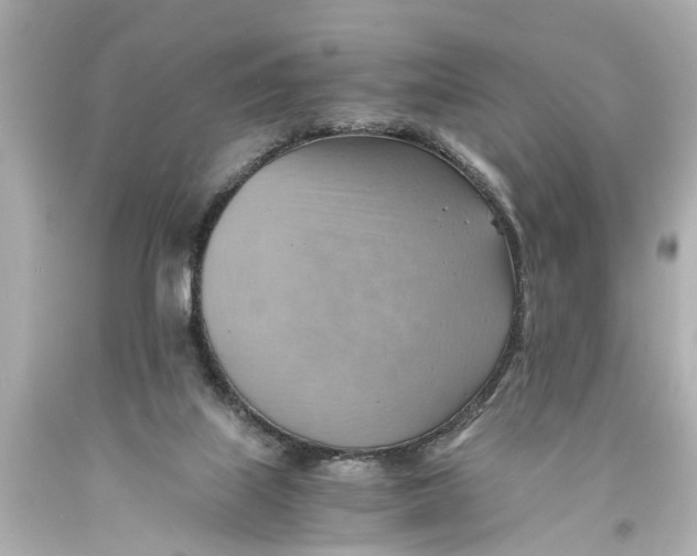 X0000093590067200711051146