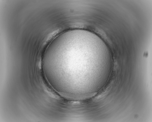 X0000093590068200711051146