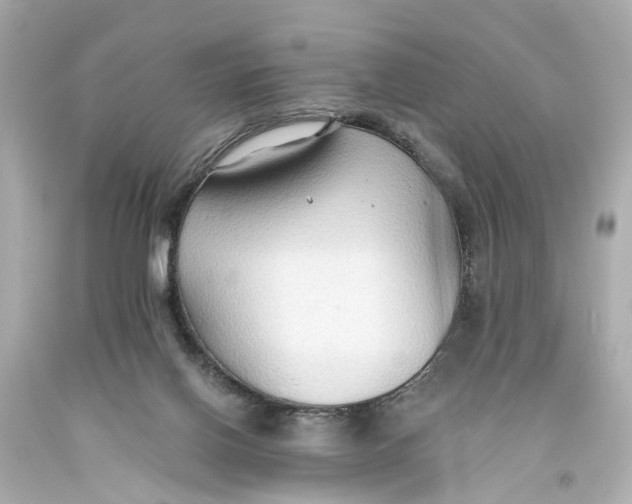 X0000093590070200711051146