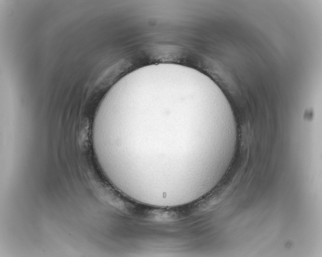 X0000093590073200711051146