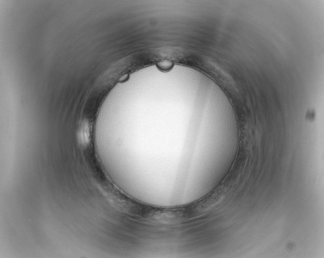 X0000093590075200711051146