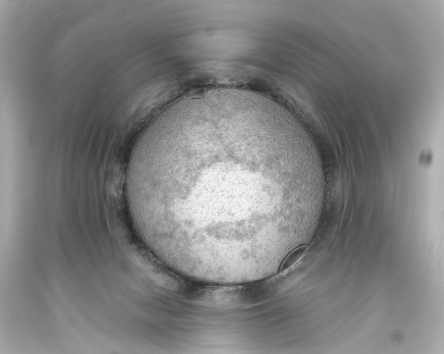 X0000093590078200711051146