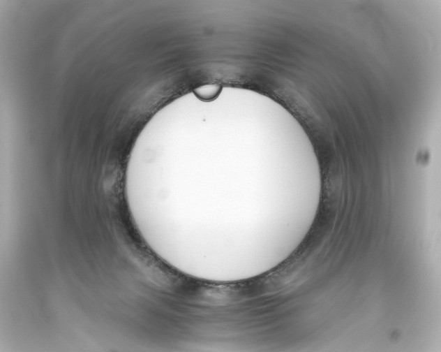 X0000093590079200711051146