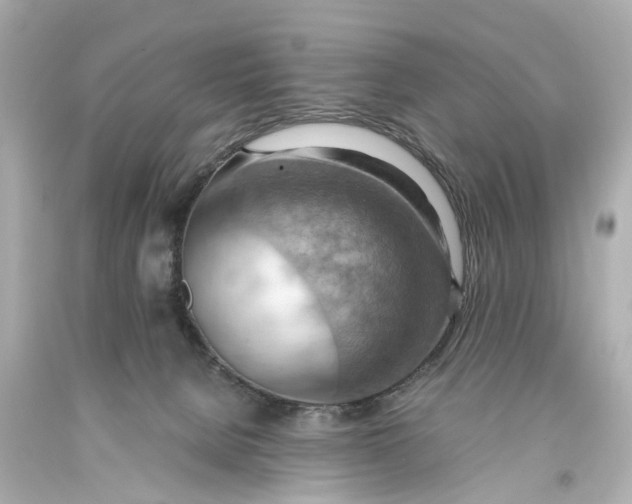 X0000093590080200711051146